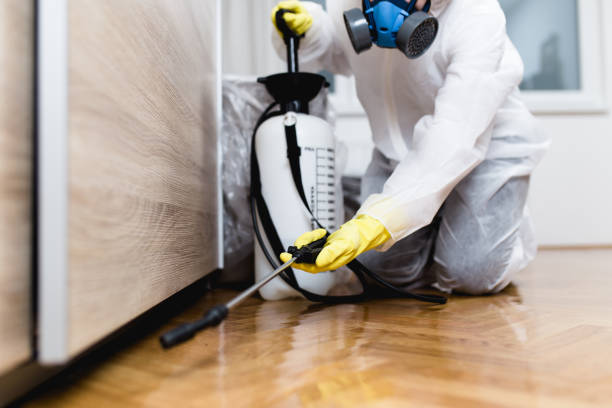 Pest Prevention Services in Federal Way, WA