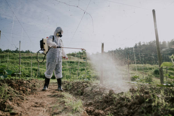 Best Pest Control Treatment  in Federal Y, WA