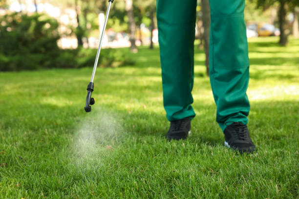 Best Affordable Pest Control Services  in Federal Y, WA
