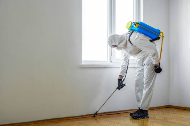 Professional Pest Control in Federal Way, WA
