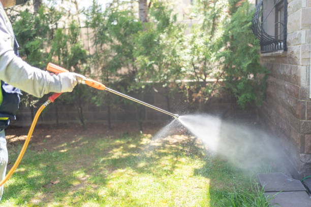 Bird Control in Federal Way, WA